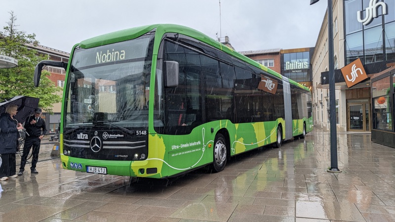Bus